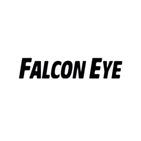 Сервисный центр Falcon Eye